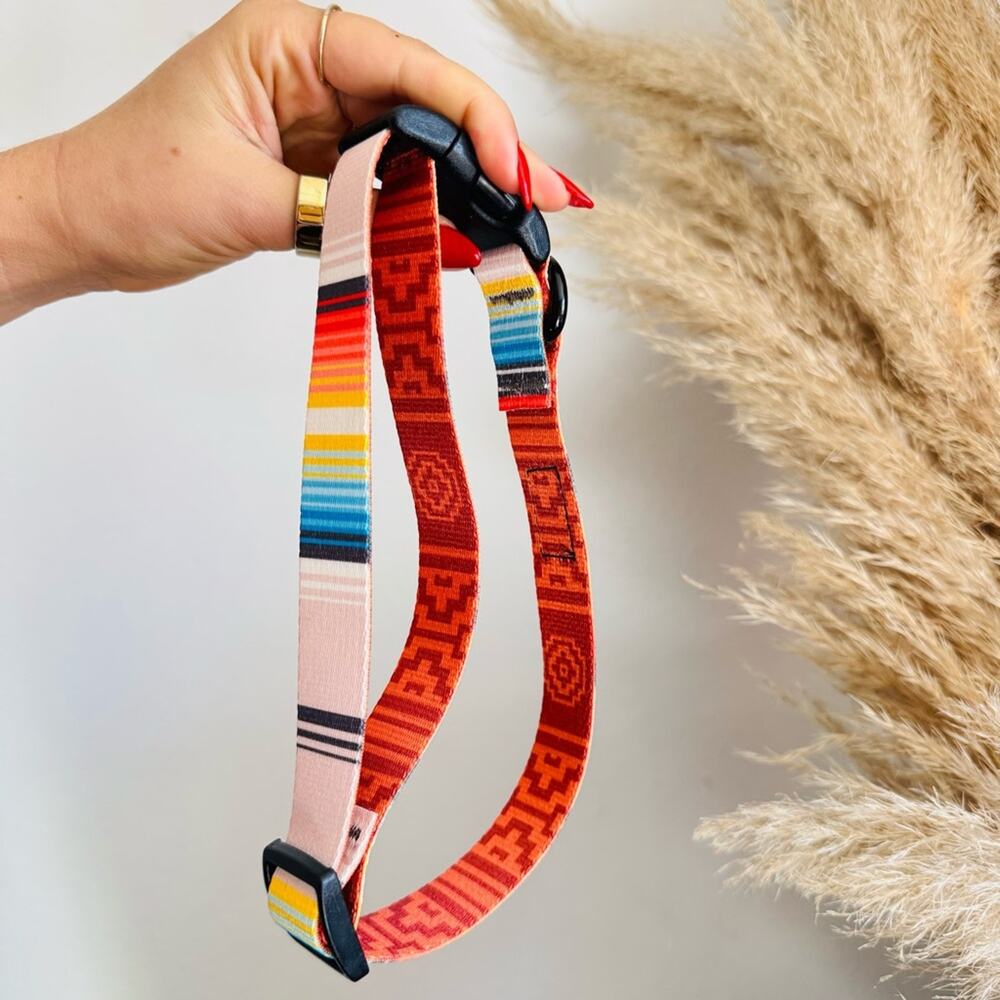 NEW LEEDS Califia Cream Orange Stripe Buckle Dog Collar Step In Harness $85 Set - Picture 8 of 13
